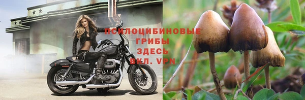 МДПВ Алзамай