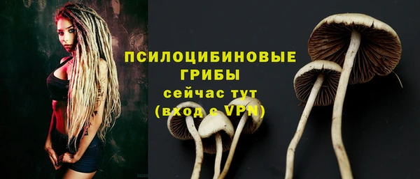 спайс Остров