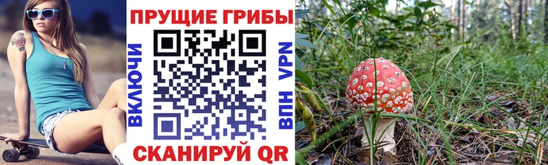 Псилоцибиновые грибы Magic Shrooms  наркотики  Красноармейск 