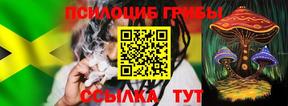 Псилоцибиновые грибы Cubensis Красноармейск